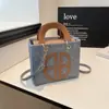 Bolsas de Moda Novas Outono e Inverno 2025 Design de Nicho Feminino Textura Casual Pequena Bolsa Quadrada Bolsa de Ombro Transversal Personalizada