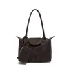Bolsos de Moda 2025 Bolsos Nuevos para Mujer con Acabado de Alta Gama, Bolsos Cruzados Elegantes y Versátiles, Bolsos de Mano de Nicho para el Trabajo, Bolsos Pequeños de Hombro Único