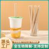 Popotes Desechables Ecológicos de Ácido Poliláctico PLA para Cafeterías y Clubes Nocturnos, Gruesos y Totalmente Biodegradables, Hechos de Caña de Azúcar, Ecológicos y Biodegradables