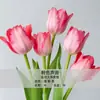 Bulbos de Tulipa para Venda no Atacado, Variedade de Pétala Simples, 1 Bulbo por Pacote, Bulbos de 5 Graus, Plantas de Flores de Interior em Vasos, Floresce o Ano Todo, Fácil de Cuidar