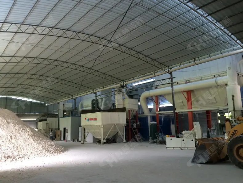 HCH1395-