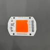 Ac220V Fuente de Luz de Alto Voltaje Sin Controlador Perlas de Lámpara Integradas 20W30W50W Perlas de Lámpara Led de Alta Eficiencia Cob de Espectro Completo