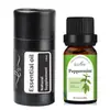 Aceite Esencial para Velas Soluble en Aceite, Aceite Esencial Único a Base de Planta de Rosa, Humidificador, Máquina de Aromaterapia, Fragancia de Lavanda para Coche