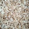 Madera de Álamo Viruta para Hámster Relleno de Fibra de Madera Viruta Cama para Tortuga Partículas de Madera de Álamo Ropa de Cama para Reptiles Mascotas Serpientes Lagartos