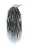 Peluca de trenza suelta rizada pequeña con cola suelta BOHO Passion Twist Feizi de fibra química europea y americana para crochet