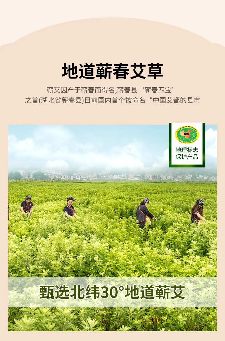 蕲艾绒详情2_03.jpg