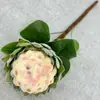 Decoração de Casa Retro Escandinava Flor Artificial Processo de Feltro à Mão Material de Seda de Fruta Sakyamuni Flor Artificial Decoração de Mesa