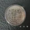 Bitcoin Moeda Virtual Coleção bitcoin Moeda Comemorativa Moeda de Ouro dos EUA Vendida Presente Medalhão Comemorativo Moeda Digital