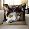 Fronha de almofada de sofá transfronteiriça, pelúcia curta amiga da pele, fronha de almofada de animal gato fofo, capa de almofada para sala de estar, não inclui enchimento