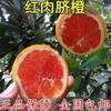 Dropshipping de plántulas de naranja de ombligo Gannan, plántulas de naranja de ombligo injertadas, plántulas de naranja de corazón rojo que dan fruto el mismo año y se plantan en el norte y el sur.
