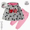 Comercio Exterior Ropa Infantil Primavera y Otoño Conjunto Infantil de Dos Piezas Material Sudadera Sudadera con Capucha Ropa Infantil para Bebés Ropa de Salida [Al por Mayor]