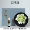 Caixa de Presente Difusor de Pedra Aromática com Flores de Porcelana Peônia para Idosos, Professores, Pais, Festival do Meio Outono e Presentes de Aniversário