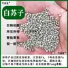 Semente de Perilla Branca 500g Semente de Perilla Branca Temperos Medicinais Chineses Comestível Moível Cozido Pó de Semente de Perilla Branca Pó de Semente de Perilla Molho para Mergulhar Churrasco