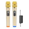 Microfone sem fio transfronteiriço um para dois guia de áudio externo ao vivo explosões de comércio exterior família KTV microfone para cantar