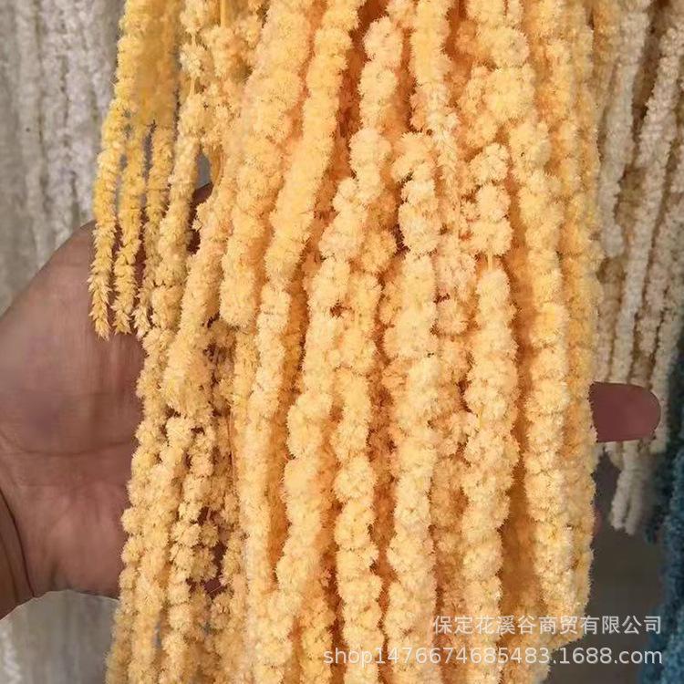 永生吊米-黄色.jpg
