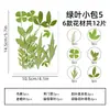 Espécimen de Planta de Hoja Real Jardín de Niños Calcomanías Hechas a Mano Flores Secas Estampado Paquete de Material DIY Decoración de Cara de Foto