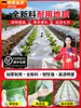 Filme Agrícola Branco para Isolamento e Retenção de Umidade, Espessado com Material Novo, Filme Plástico, Filme Agrícola Preto, Filme Especial para Uso Agrícola, Cultivo de Vegetais e Amendoins