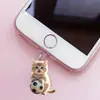 Tapón de Polvo de Acrílico de Gato de Fútbol 2D Más Vendido Transfronterizo para Teléfonos Móviles, Adecuado para Interfaz Apple y Interfaz Tipo-C