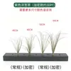 Dropshipping Transfronterizo de Hierba Cebolla Encriptada, Césped Artificial, Hierba Pequeña de Tallo Único, Paisajismo con Plantas Verdes, Césped Artificial, Hierba de Junco, Plantas Artificiales