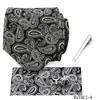 Conjunto de 4 Piezas de Corbata y Pañuelo de Bolsillo con Estampado Paisley para Hombre Estilo Retro Europeo Corbata para Traje Formal Fábrica Shengzhou