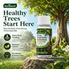Kineshinex Solución Nutritiva para Árboles Fórmula Nutritiva para Raíces Profundas Ayuda a Suplementar los Nutrientes Necesarios para el Crecimiento del Árbol