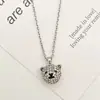 Colar Criativo de Urso Fofo com Pedras de Strass, Personalidade Brilhante, Único e Elegante, Corrente para Clavícula, Colar Simples e Versátil para Mulheres para Roupas de Trabalho