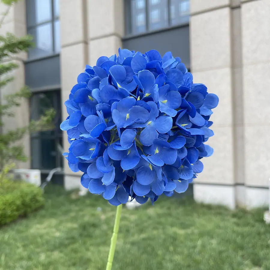 单支诗意棒棒糖绣球-wxzxdx-宝蓝.JPG