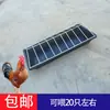 Alimentador automático para patos y gansos para cría de pollos bebedero comedero para patos comedero de polipropileno grueso comedero para aves de corral bebedero