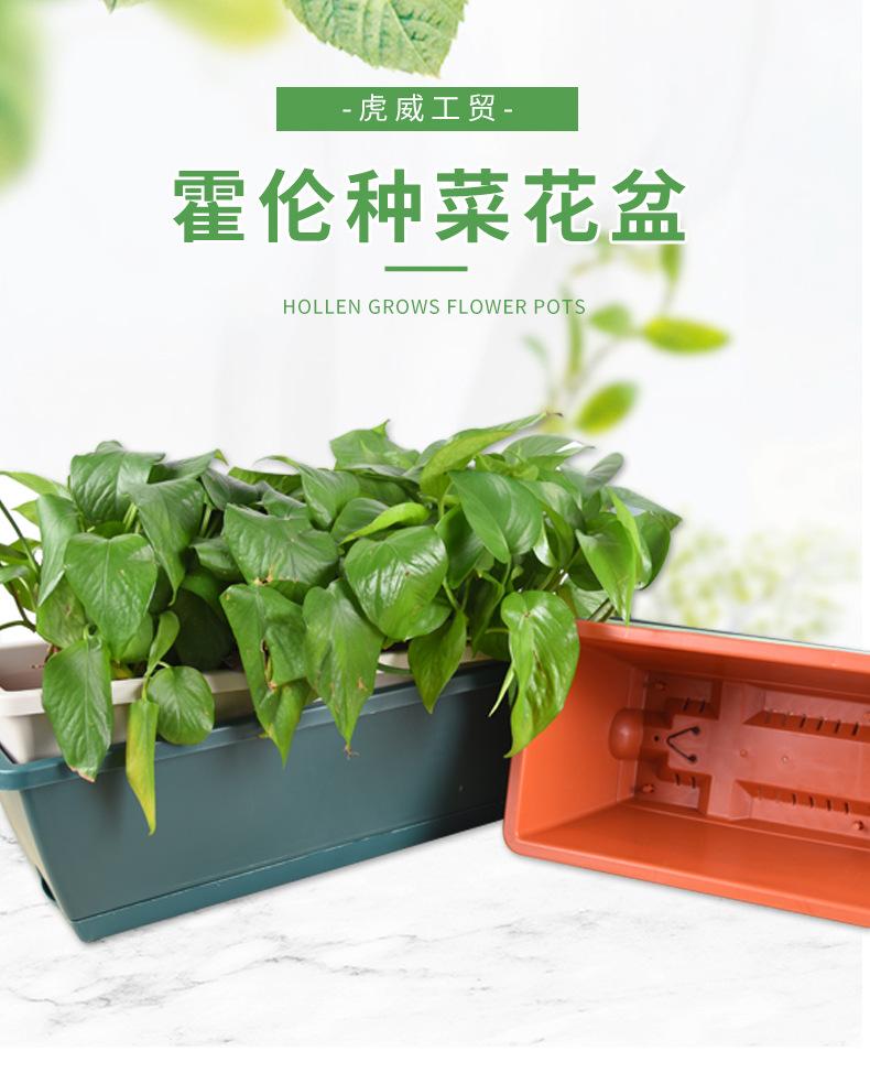 虎威详情_01