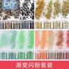 Manualidades DIY, relleno de bricolaje, purpurina degradada, 4 lentejuelas, purpurina, pegamento AB, joyería, pegamento UV, relleno