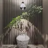 [Ligustro Popular de Folhas Pequenas] Plantas verdes recém-cortadas para exibição hidropônica, plantas de interior fáceis de cuidar para todas as estações, perfeitas para salas de chá