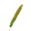 Plantas verdes artificiales para paisajismo, espárrago cola de zorro, decoración de alta gama para sala de estar del hogar, accesorios de fotografía, artículos decorativos, plantas verdes y césped falsos
