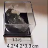 Caja de Muestras de Mineral Herramienta Caja de Muestras de Minerales y Cristales 3.45.16.8cm Exhibidor de Adornos de Cristal Transparente Tamaño Fijo