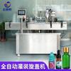 Máquina de Enchimento Totalmente Automática Personalizada para Colírios, Enchimento de Cola, Máquina de Tampar e Rosquear, Linha de Produção de Creme e Líquido com Alta Precisão