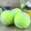 Brinquedo de Pet Tênis para Cachorro Tênis Mordida Bola Elástica Moer Dentes Lançamento Treinamento Bola de Treinamento para Cachorro