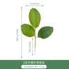 Novas Folhas de Salgueiro Artificiais Transfronteiriças Arranjo de Cena de Casamento Fabricante Arranjo de Flores DIY Folhas Falsas Simulação Folhas de Salgueiro