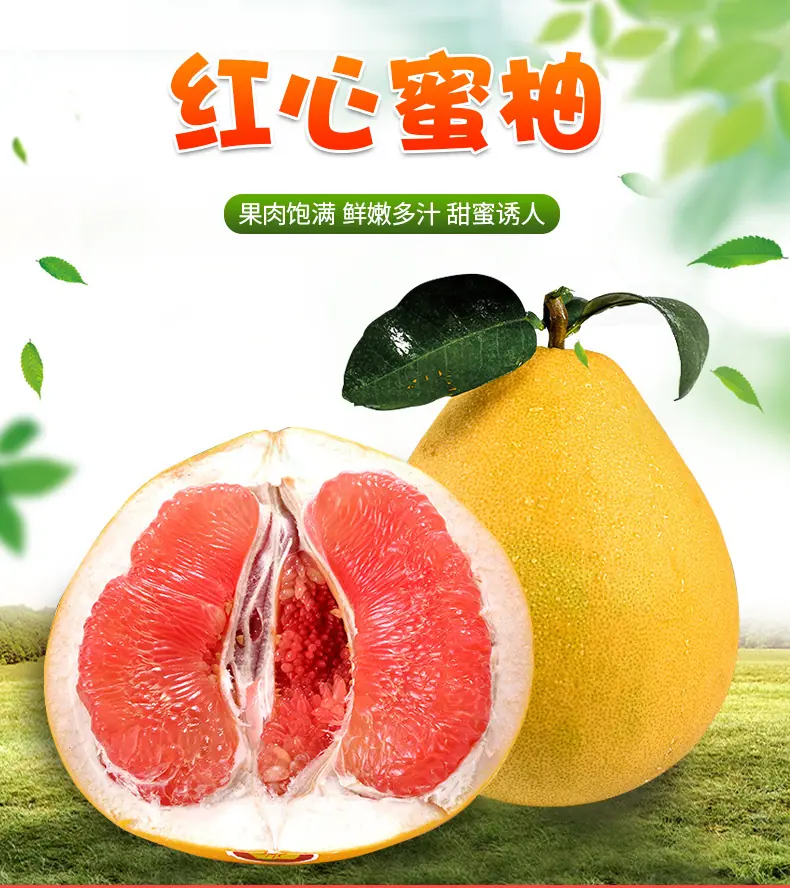 福建红心蜜柚详情图1