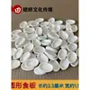 Suministros para grillos, jaulas para grillos, bandejas de alimentación, tazones de comida y platos de alimentación de porcelana blanca pura
