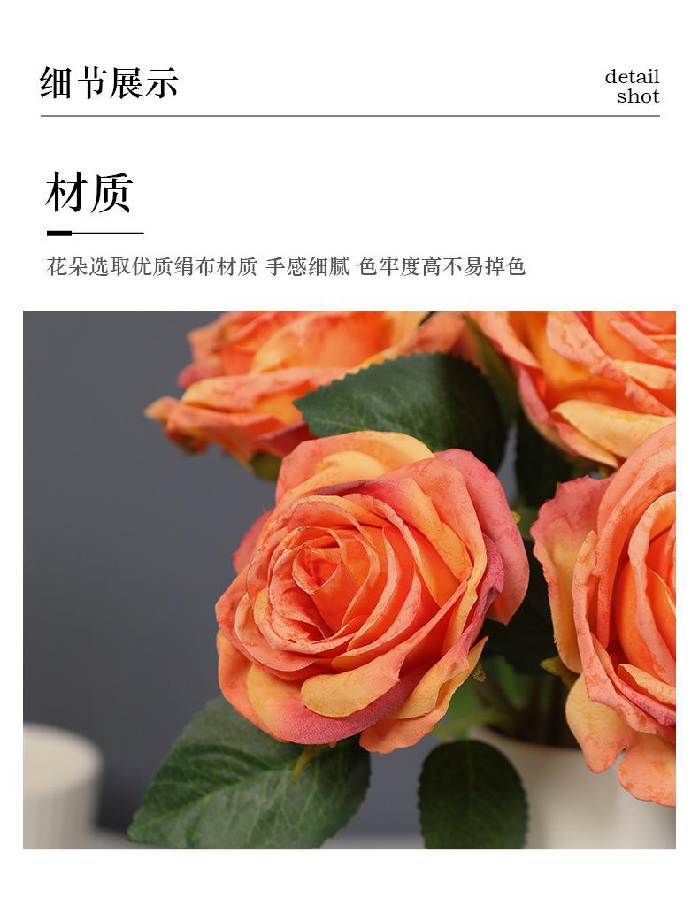 单叶锦瑟玫瑰_10.jpg
