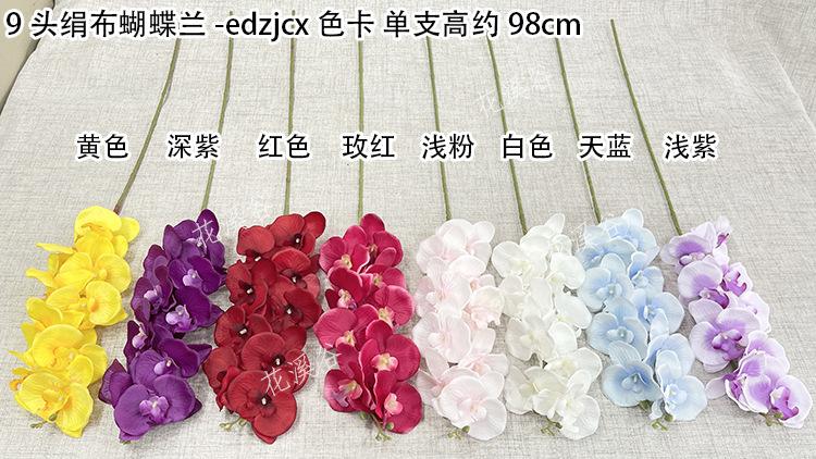 9头绢布蝴蝶兰-edzjcx 色卡 花溪谷.jpg