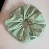 Diadema Verde Primavera con Acabado de Alta Gama, Versátil para Salir, Diadema de Esponja, Pinza para el Cabello, Accesorio para el Cabello, Estilo Nuevo