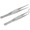 Pinzas para suculentas, pinzas de plantación, punta curva, extendidas, alimentación manual, animal, escorpión, punta recta, acero inoxidable, para atrapar