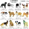 Modelos de Animales Realistas: Doberman, Golden Retriever, Perro de Peluche, Husky, Collie - Adornos para Coche y Juguetes para Niños