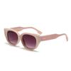 Temu Transfronteiriço Novos Óculos de Sol Formato Côncavo Ins Moda Olho de Gato Óculos de Sol Femininos High-End Óculos de Sol Masculinos