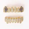 Conjunto Europeu e Americano de Aparelhos Dentários Hip-Hop com Crânio de Diamante Roxo Full Diamond, Conjunto para Dentes Superiores e Inferiores, Acessórios Dentários Decorativos Personalizados para Rap, Versão em Duas Cores