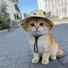 Sombrero para Mascotas, Sombrero de Sol de Verano, Lindo Dibujo Animado Protección Solar, Protección UV, Gorro para Exteriores con Orejas Expuestas, Transpirable para Gatos