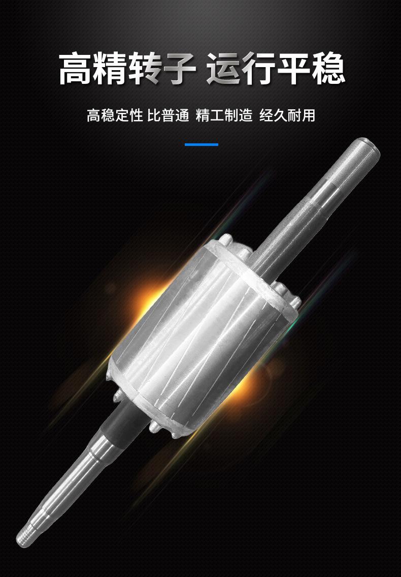 11转子.jpg