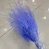 Flores Eternas, Hierba Aguja, Hierba Pluma Soñadora, Ramo de Boda, Materiales para Arreglos Florales, Hierba Pluma de Tallo Largo, Multicolor