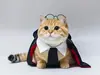 Capa de Halloween transfronteiriça para pet, capa mágica Harry Potter, fantasia para cachorro, roupa para gato, manto, roupas da moda COSP