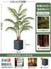 Palmera Areca Artificial Grande de Lujo de Gama Alta, Planta Verde, Árbol Falso, Planta de Bambú Cola de Fénix para Decoración de Paisajismo Tropical de Interiores